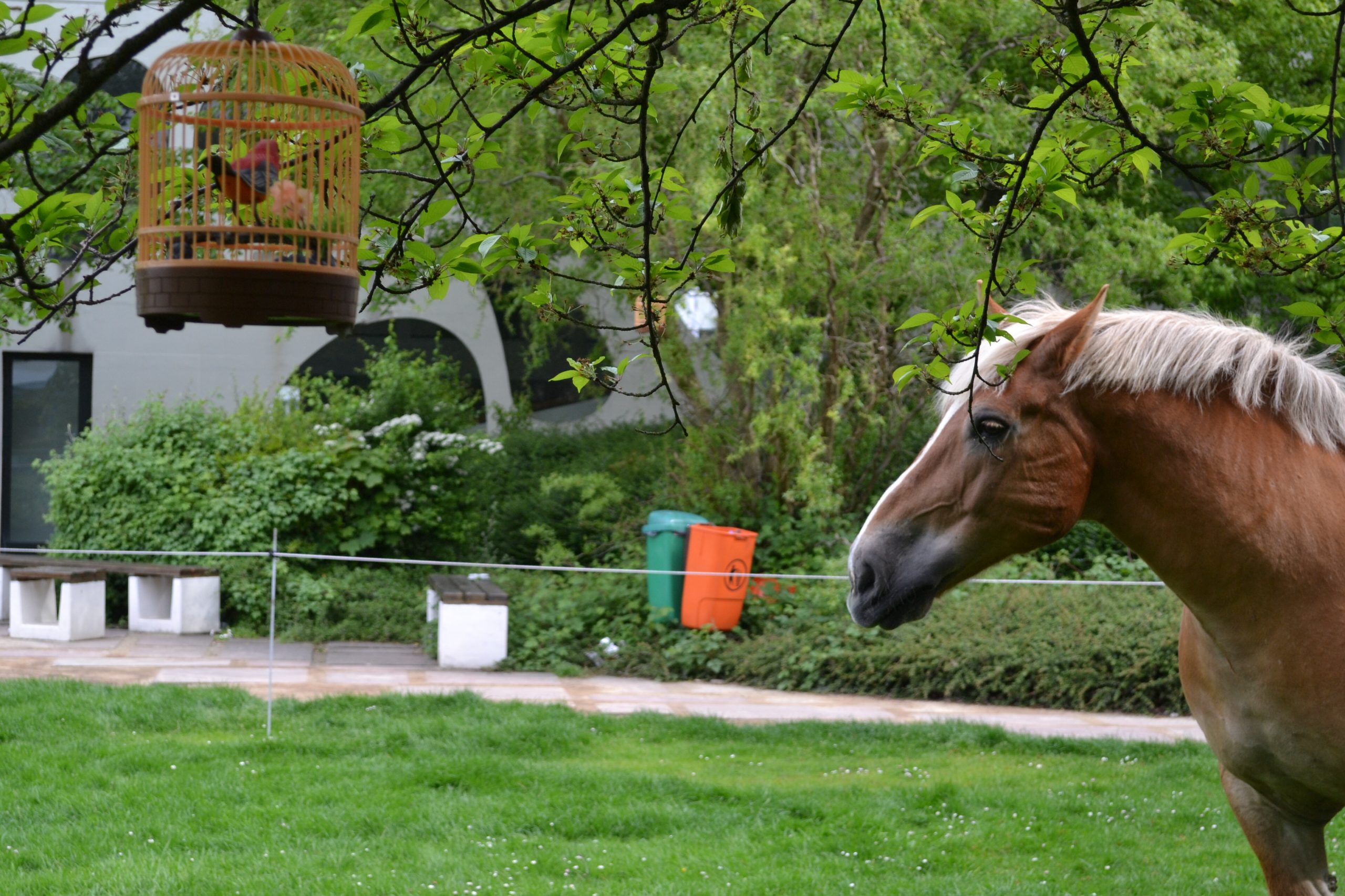 Hold Your Horses_3